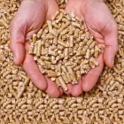 Immagine 1 azienda BAIOCCO SIMONETTA Shopping e acquisti in Roma