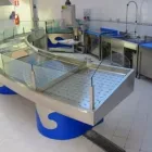 Immagine 1 azienda BALBONI INOX Shopping e acquisti in Campogalliano MO