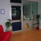 Immagine 6 azienda BANCO METALLI ITALIANO VICENZA COMPRO ORO E ARGENTO Shopping e acquisti in Vicenza