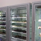 Immagine 8 azienda BAR GELATERIA CALIPSO Gelateria in Messina