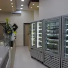 Immagine 9 azienda BAR GELATERIA CALIPSO Gelateria in Messina