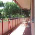 Immagine 4 azienda BARBIERI AGENZIA IMMOBILIARE Immobiliare e ristrutturazioni in Cervia RA