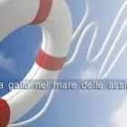 Immagine 7 azienda BARI BROKERS DI MASSIMO PASTORE & C. Shopping e acquisti in Bari