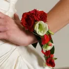 Immagine 3 azienda BARTOLI GARDEN Vivaio in Terracina LT