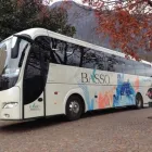 Immagine 7 azienda BASSO VIAGGI E TURISMO Viaggi e turismo in Marostica VI
