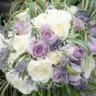 Immagine 6 azienda BAZZOCCHI PIANTE E FIORI CERVIA Wedding planner organizzazione matrimoni in Cervia RA