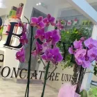 Immagine 1 azienda BB STYLE ACCONCIATURE UNISEX Servizi di bellezza in Granaglione Bo