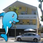 Immagine 2 azienda BED & BREAKFAST DELFINO Viaggi e turismo in Francavilla Al Mare CH