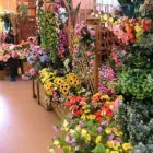 Immagine 2 azienda BEN GARDEN Vivaio in Tradate VA