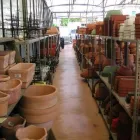 Immagine 3 azienda BEN GARDEN Vivaio in Tradate VA