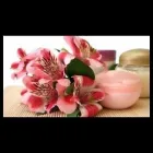 Immagine 3 azienda BENEGGI DR. MASSIMO DERMATOLOGO Salute in Saronno VA
