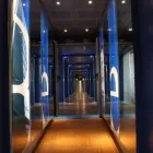 Immagine 1 azienda BENTLEY SOA SPA Imprese edili in Torino