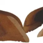 Immagine 2 azienda BERDINI Shopping e acquisti in Villa Bona Fede