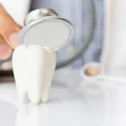 Immagine 3 azienda BERTANI DR. PIO DENTISTA Salute in Parma Pr