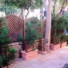 Immagine 6 azienda BESIDIAE MANICI SNC Shopping e acquisti in Bisignano CS