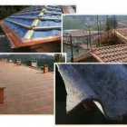 Immagine 1 azienda BICS LATTONERIA EDILE Servizi professionali in Olgiate Comasco