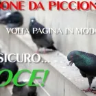 Immagine 1 azienda BIO & ENERGY DISINFESTAZIONE Servizi professionali in Bari