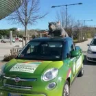 Immagine 4 azienda BIODIS Organizzazione per la protezione degli animali in San Giovanni Rotondo FG