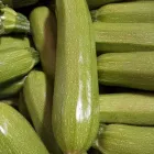 Immagine 3 azienda BIOGARDEN Servizi agricoli in Ispica