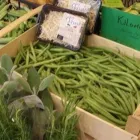 Immagine 5 azienda BIONEGOZIO Shopping e acquisti in Collegno TO