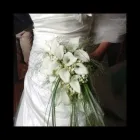 Immagine 2 azienda BLU GARDEN Shopping e acquisti in Capurso BA