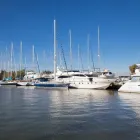 Immagine 2 azienda BLUE DOLPHIN MARINA Viaggi e turismo in Fiumicino RM