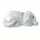 Immagine 1 azienda BLUE PET Shopping e acquisti in Vicopisano PI