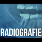Immagine 5 azienda BOMBARDELLI DOTT.SSA MARINA Salute in Como