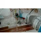 Immagine 5 azienda BORDIGNON AMBIENTE S.R.L. Servizi professionali in Dosson TV