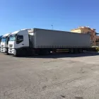 Immagine 3 azienda BORGIA TRASPORTI Veicoli in Nettuno RM