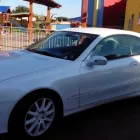 Immagine 6 azienda BORGIA TRASPORTI Veicoli in Nettuno RM