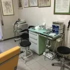 Immagine 4 azienda BOSCHI DR.SSA MARILENA OTORINOLARINGOIATRA Salute in Ravenna