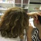 Immagine 5 azienda BOSCHI DR.SSA MARILENA OTORINOLARINGOIATRA Salute in Ravenna