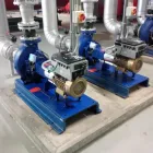 Immagine 4 azienda BOSSI & PURICELLI S.R.L. Shopping e acquisti in Gallarate VA