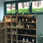 Immagine 4 azienda BOTANICA URBANA-CLOUD BROTHERS Vivaio in Varese