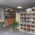 Immagine 6 azienda BOTANICA URBANA-CLOUD BROTHERS Vivaio in Varese