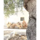 Immagine 1 azienda BOTLEA Shopping e acquisti in Bari