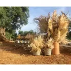 Immagine 3 azienda BOTLEA Shopping e acquisti in Bari