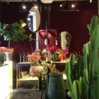 Immagine 6 azienda BOTLEA Shopping e acquisti in Bari