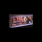 Immagine 3 azienda BRACERIA PUGLIESE Ristorante in Fiumicino RM