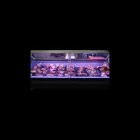 Immagine 5 azienda BRACERIA PUGLIESE Ristorante in Fiumicino RM