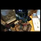 Immagine 2 azienda BRIGNOLI GIOIELLERIA Shopping e acquisti in Traversetolo PR