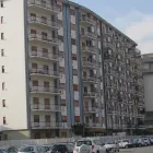 Immagine 3 azienda BRUNO IMPRESA EDILE Servizi professionali in Palermo