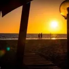 Immagine 3 azienda BUENA ONDA FOCENE Ristorante in Fiumicino RM