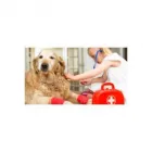 Immagine 8 azienda BUSNELLI DR. SERGIO VETERINARIO Veterinario in Saronno VA