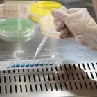 Immagine 3 azienda C.M.T. ANALISI MEDICHE Salute in Cagliari