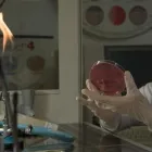 Immagine 6 azienda C.M.T. ANALISI MEDICHE Salute in Cagliari