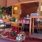 Immagine 1 azienda C.T.R. SOCIETÀ COOPERATIVA AGRICOLA Servizi agricoli in Sogliano Al Rubicone FC