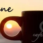 Immagine 2 azienda CAFÈ DES AMIS Shopping e acquisti in Fregene RM