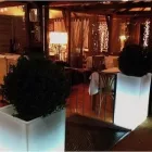 Immagine 3 azienda CAFFÈ DEGLI ARTISTI Ristorante in Sesto San Giovanni MI